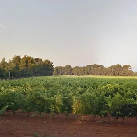 Vintage Avec Terrasse Face - 4 Couchages, Parking Securise - Fr-1-251-290 Apartament *