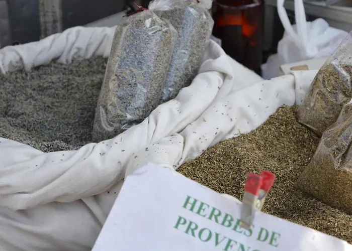 Vintage Avec Terrasse Face - 4 Couchages, Parking Securise - Fr-1-251-290 * Le Lavandou