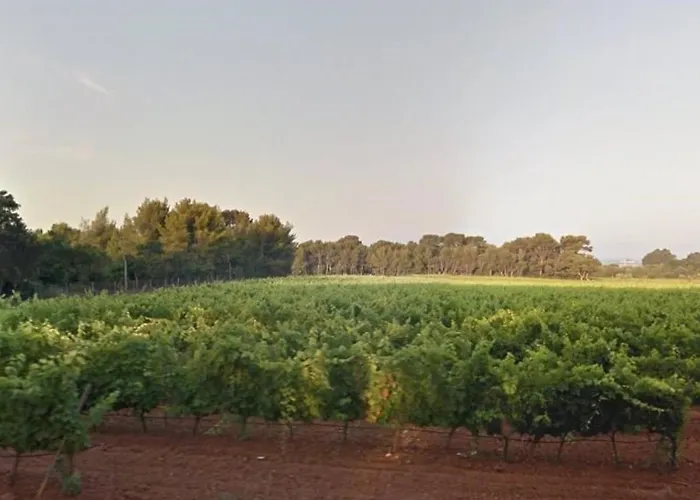 Vintage Avec Terrasse Face - 4 Couchages, Parking Securise - Fr-1-251-290 Apartman *